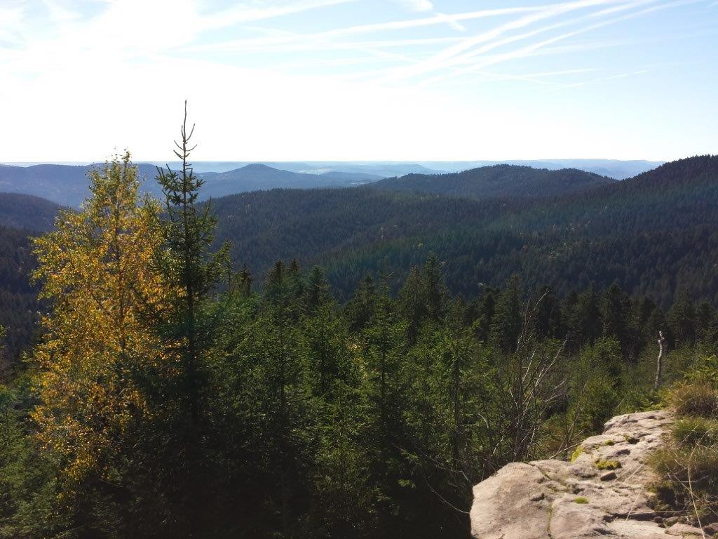 06 Blick vom Klagstein nach Süden.jpg